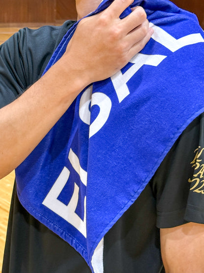 TOWEL