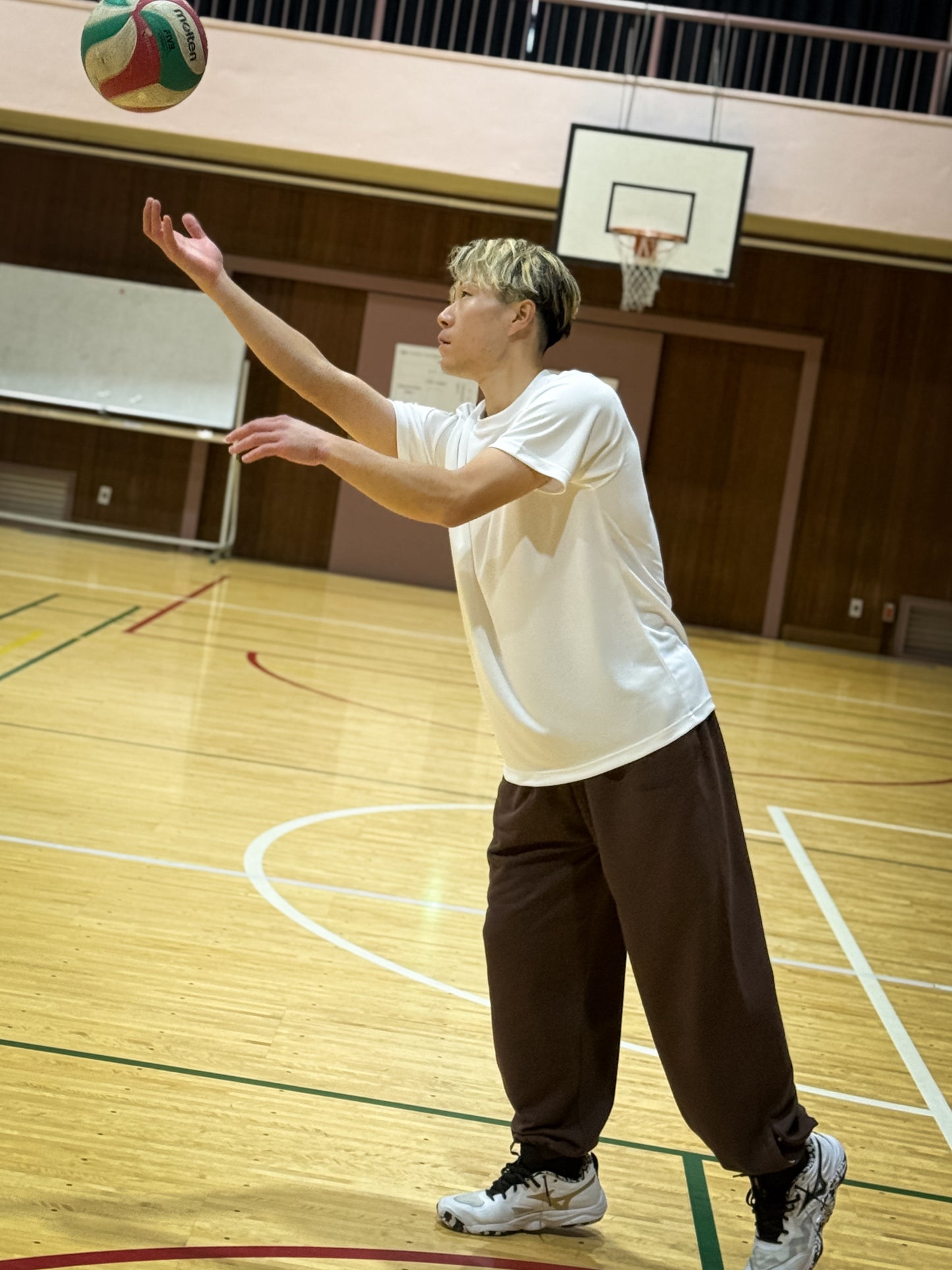 【セット販売】BACK LOGO T-SHIRTS & SWEAT PANTS